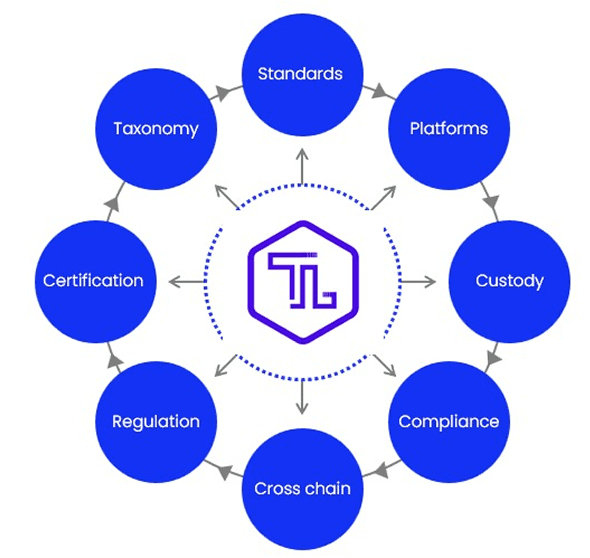 Token Layer Ecosystem